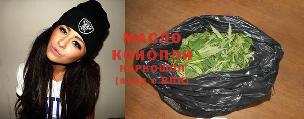 мдпв Рославль