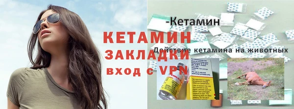 мдпв Рославль