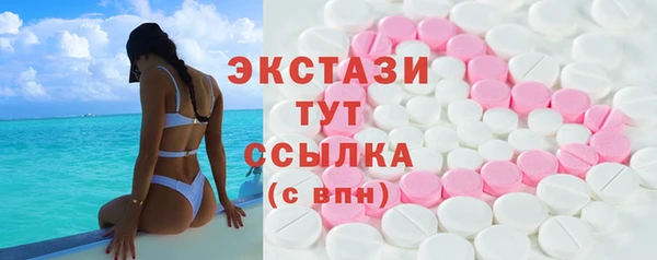 мдпв Рославль