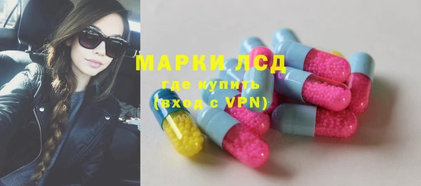 мдпв Рославль