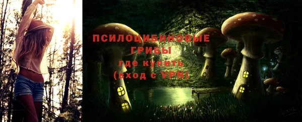 мдпв Рославль