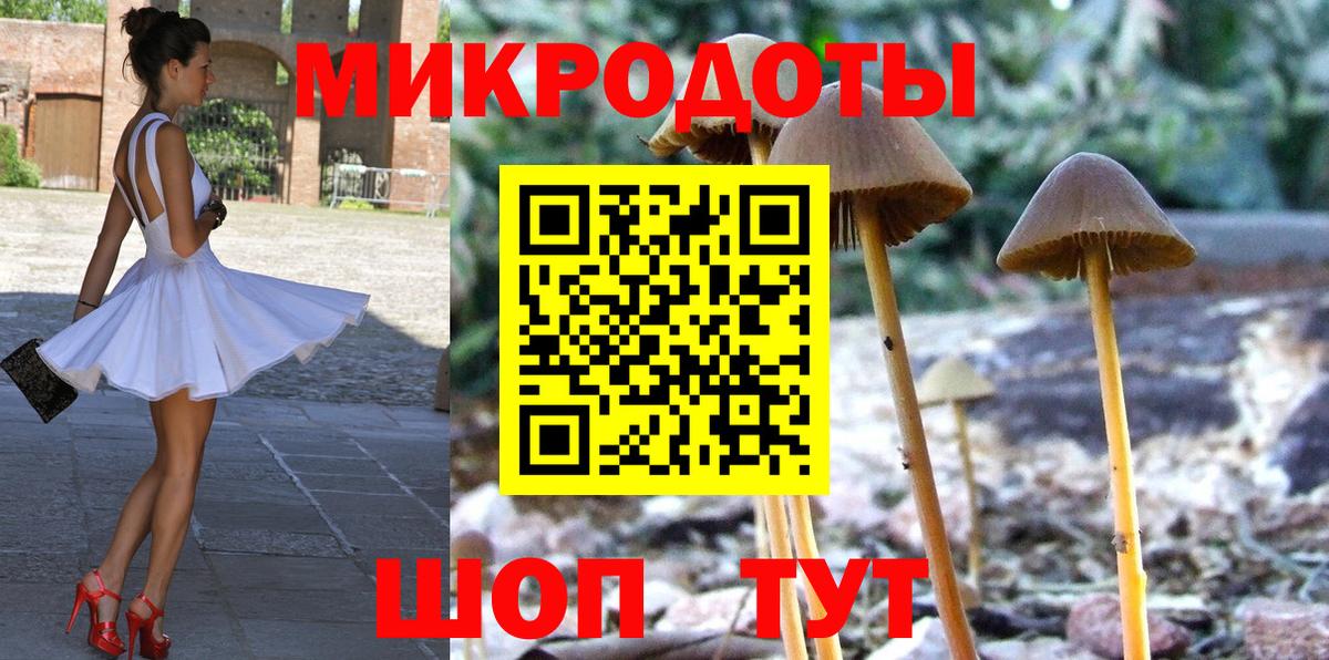 где купить наркоту  Вход с VPN  Галлюциногенные грибы мицелий  Свободный  Псилоцибиновые грибы MAGIC MUSHROOMS 