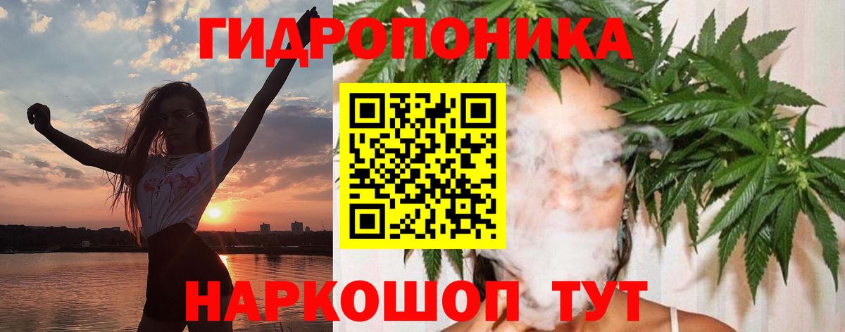 Бошки Шишки марихуана Свободный